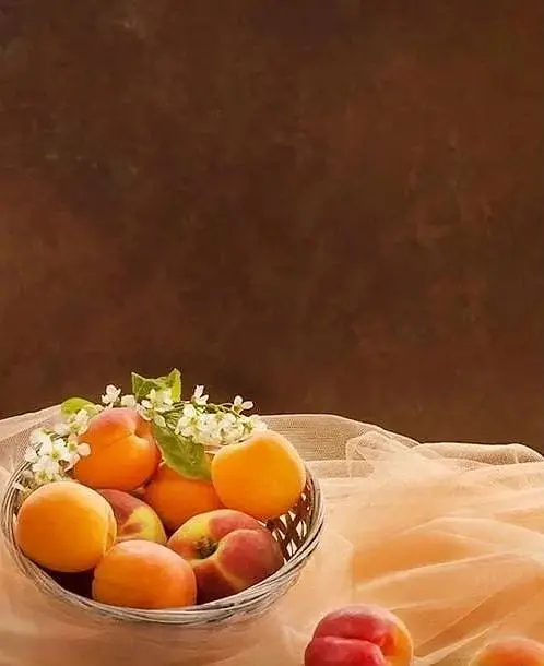 Саженец Agro-Market Абрикос NJA 19 (летний сорт, средний срок созревания) (39858) 1 шт. в упаковке - фото 3