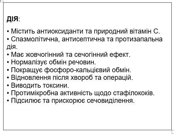 Ренавіт для собак Home Food, 500 мл - фото 2