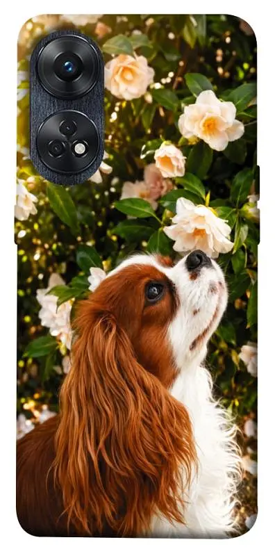 TPU чохол Demsky Flower spaniel для Oppo Reno 8 T 4G