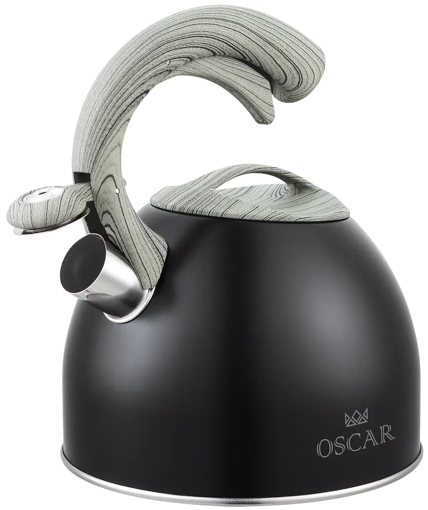 Чайник Oscar Master 2.5 л (6747399) - фото 2