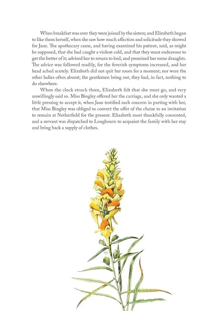 Pride and Prejudice: Illustrations by Marjolein Bastin - фото 3