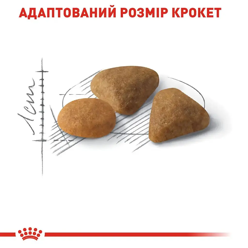 Сухой корм для кошек требовательных к составу продукта Royal Canin Exigent Savour 3.2 кг + 800 г - фото 4