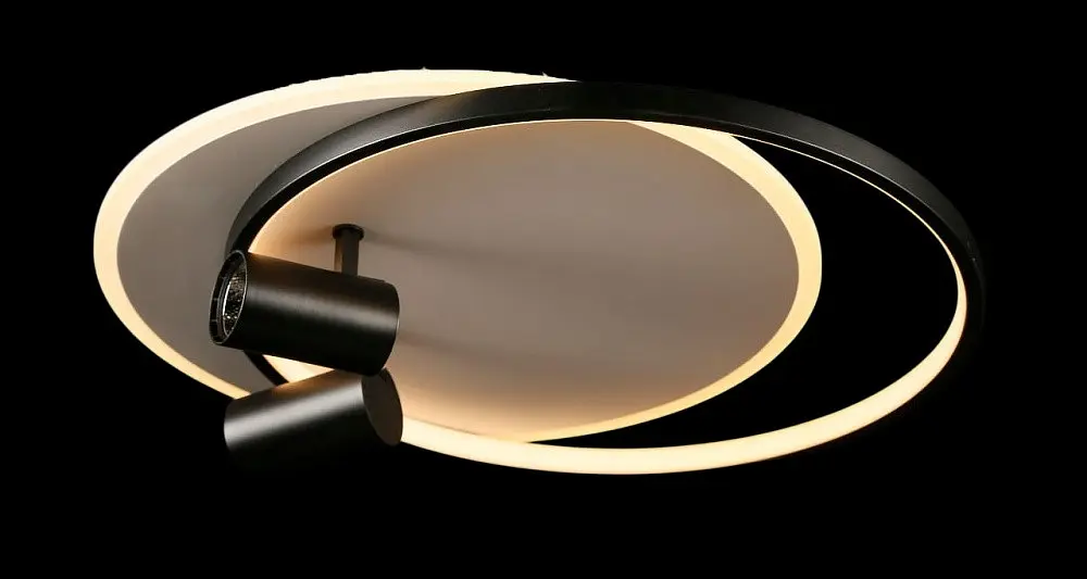 Люстра стельова LED Splendid Ray L2451/480/2+2, 4 лампи, 56 см, чорний та білий, сучасний стиль, з пультом, димер - фото 3