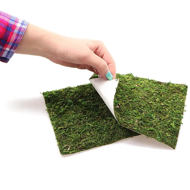 Фон з натурального моху Repti-Zoo Natural Moss Back & Bottom 45x45см 2 шт (NCM4545) для тераріуму - фото 5