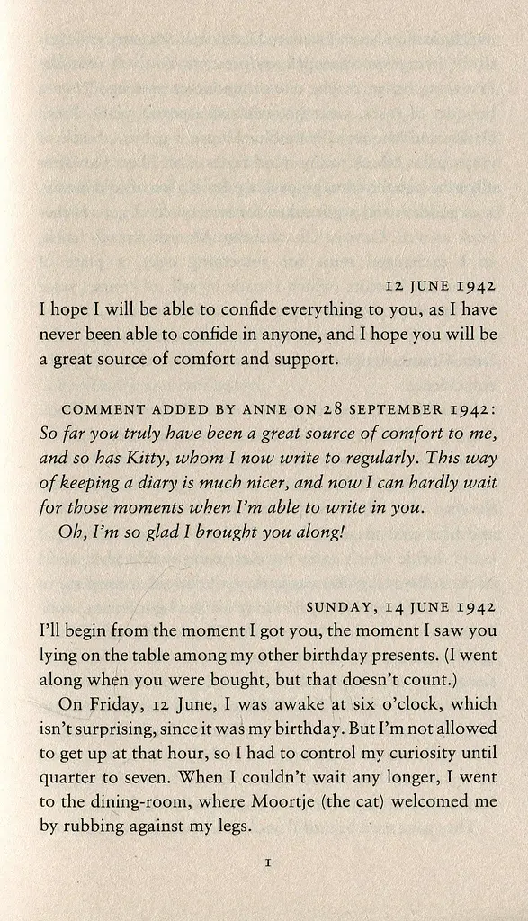The Diary of a Young Girl - фото 7