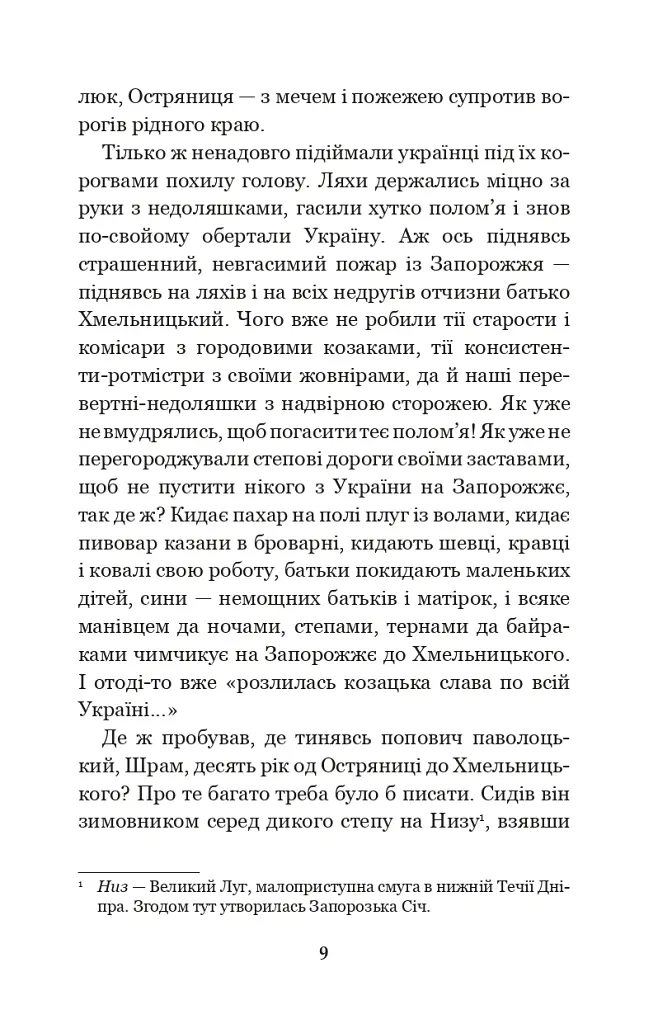 Чорна рада. Хроніка 1663 року - Пантелеймон Куліш - фото 8