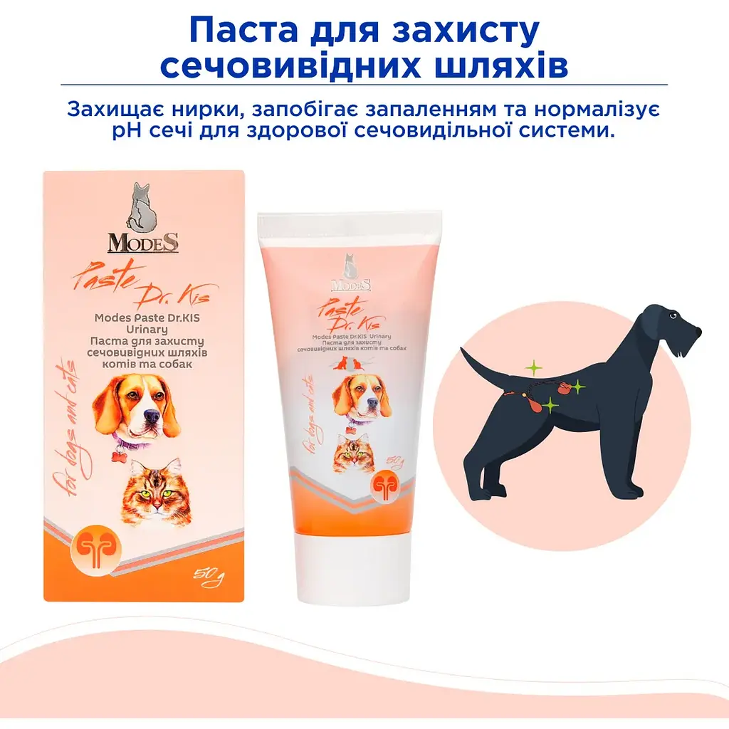 Паста для котів та собак Modes Dr.Kis Urinary для захисту сечовивідних шляхів 50 г - фото 3