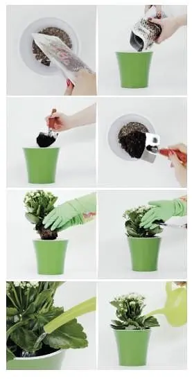 Вазон Santino Арте 0.6 л чорно-білий (ART06WHT/BL) - фото 3