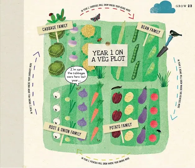 Grow. A Family Guide to Growing Fruit and Veg - фото 8