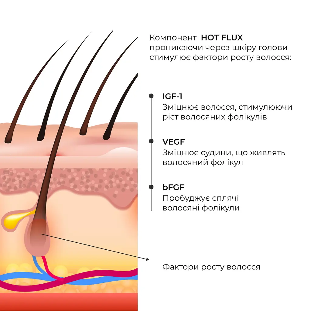 Комплекс по уходу за жирным типом волос Perfect Care Hair Green Tea Hillary - фото 22