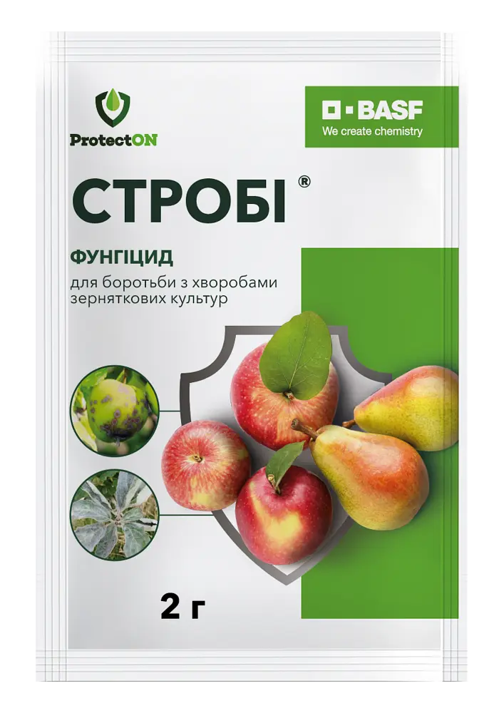 Фунгіцид ProtectON Стробі 2 г
