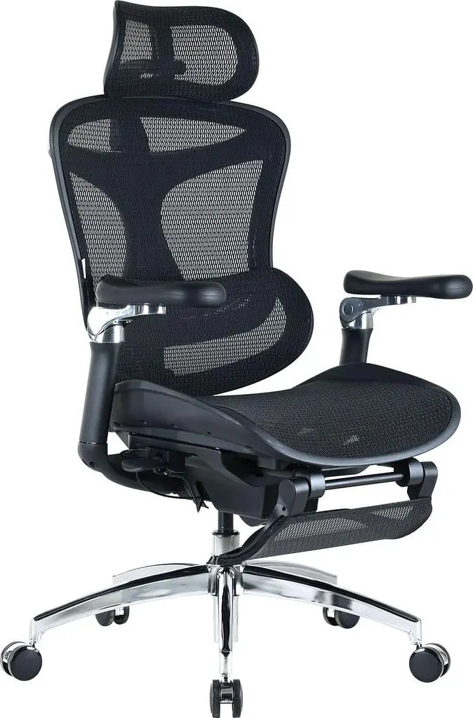 Офісне крісло Sihoo DORO C300 Pro Mesh Black with footrest (DORO-C300-PRO-M101-JT) - фото 3