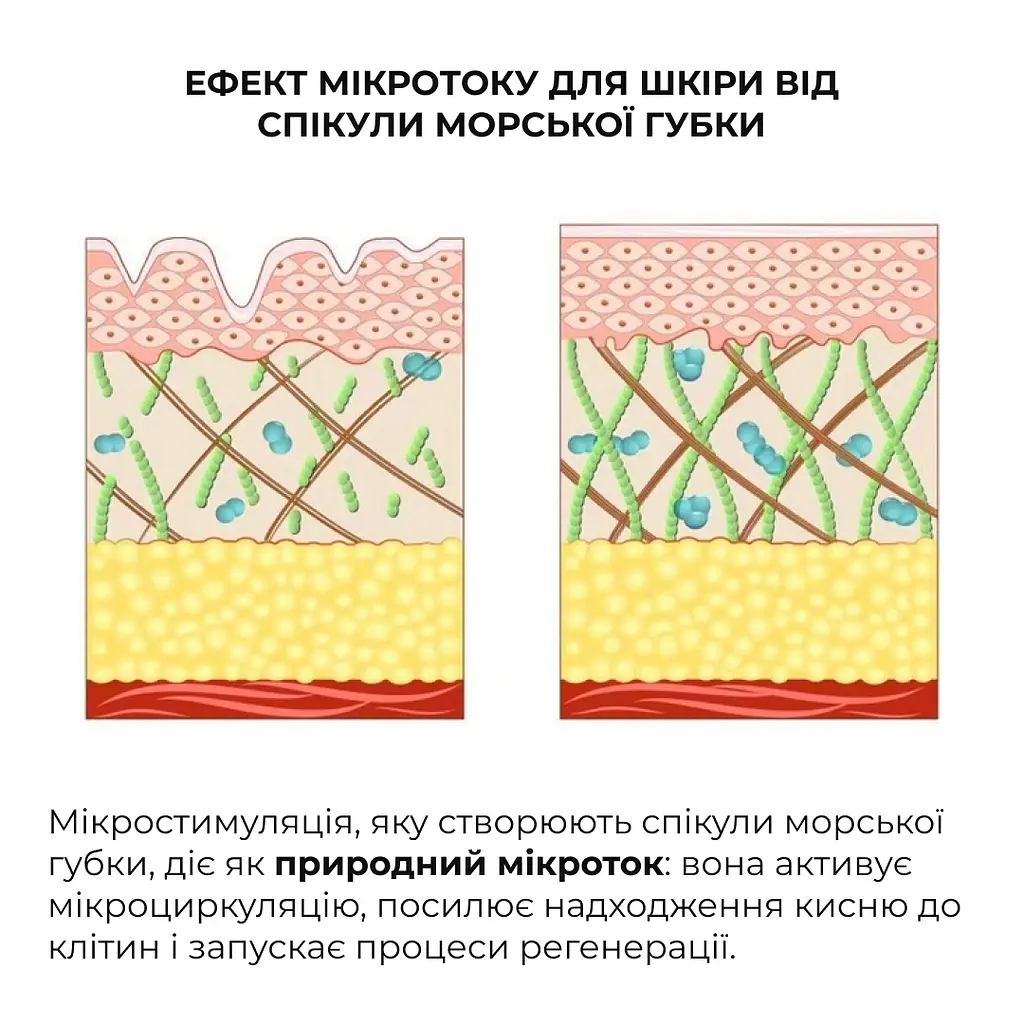 Сироватка для глибокого оновлення шкіри Deep Renew Trio Serum Hillary 30 мл - фото 8