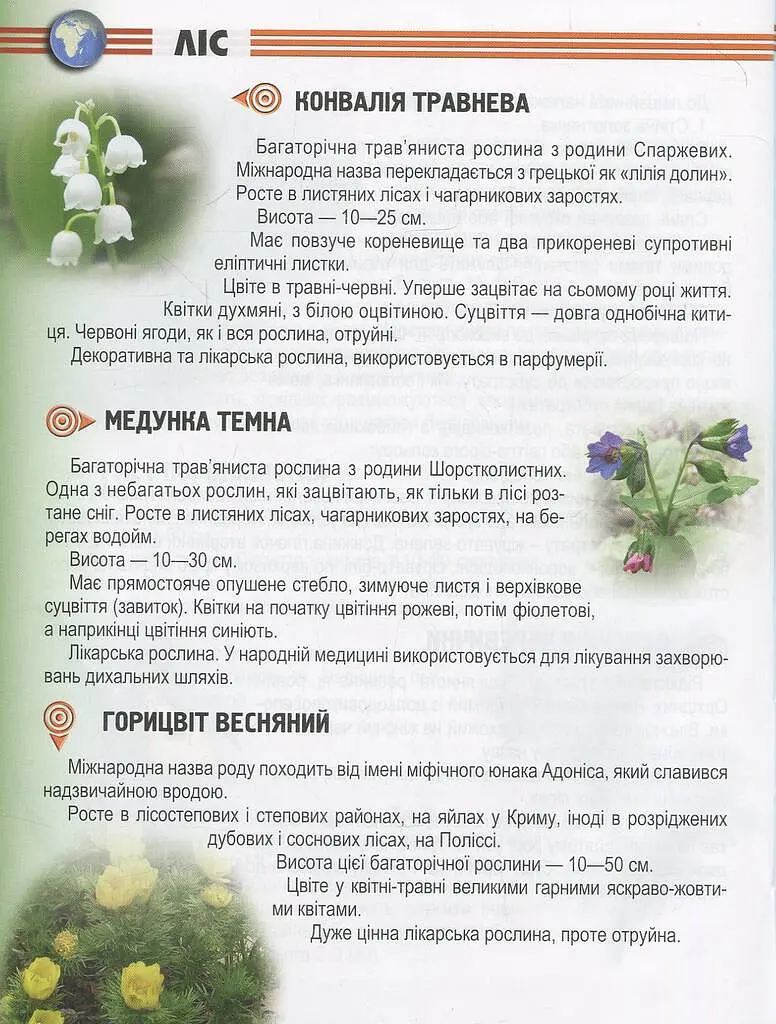 Енциклопедія для допитливих А5 : Рослини і тварини України (Українська ) - фото 11