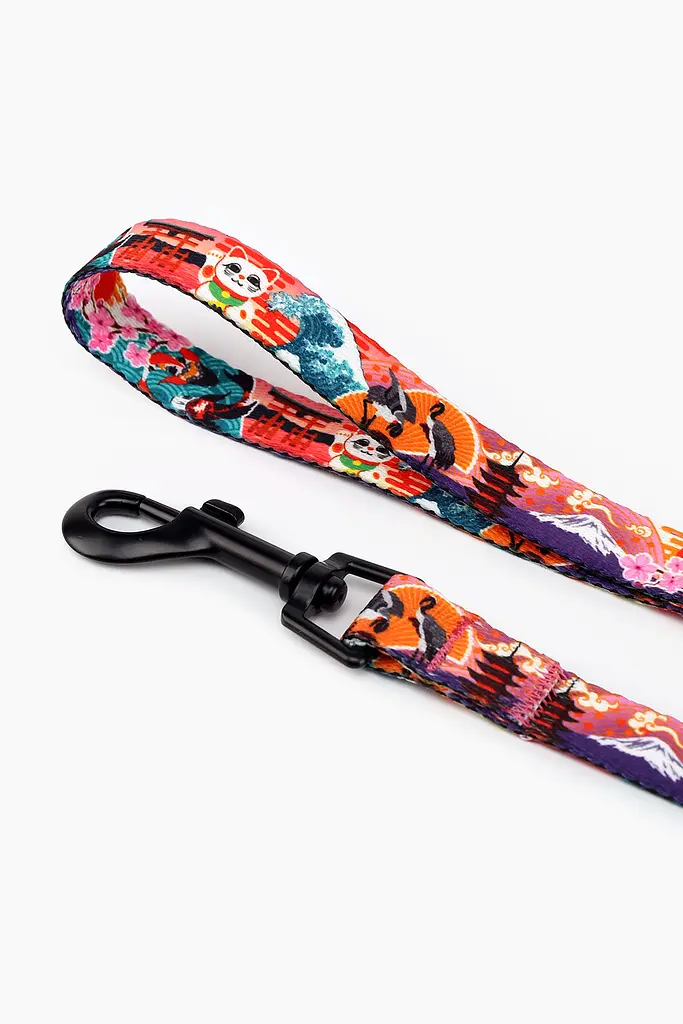 Повідець ТМ HIDOG Japan , ширина 16 мм (довжина 152 см) (2100102349019A)(SN) shop (2100102349019) - фото 3