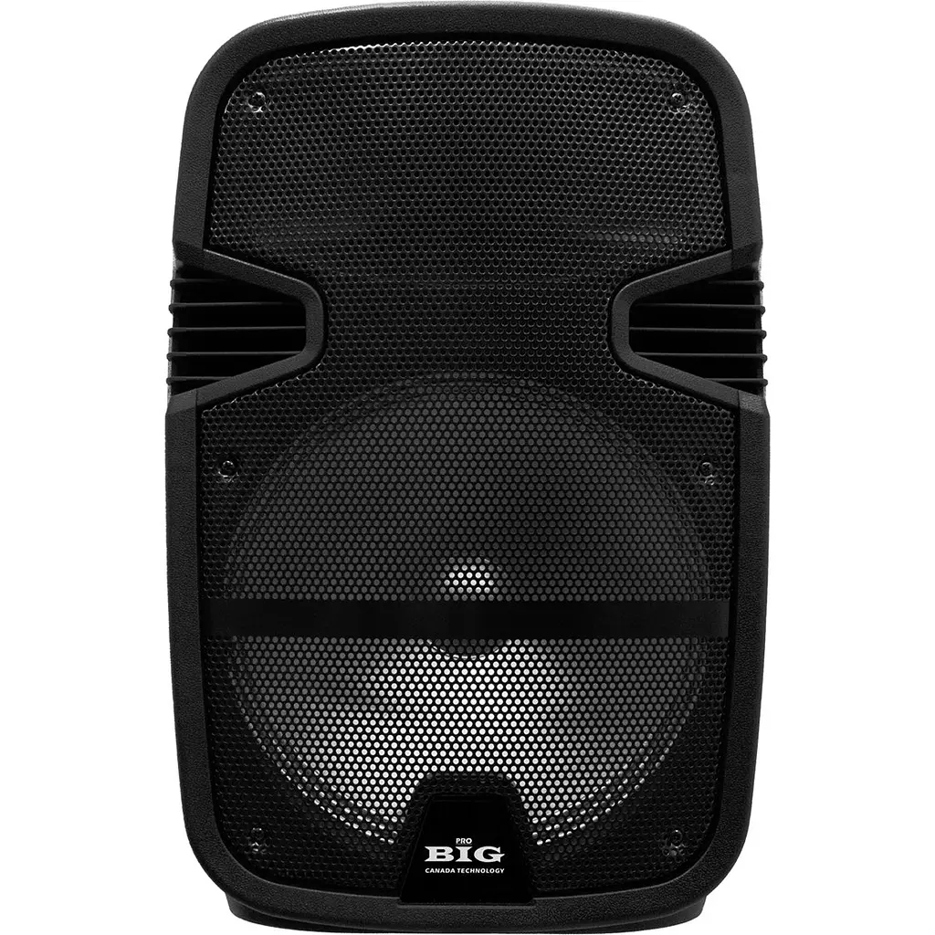 Портативна колонка BIG TORNADO 300W, два радіомікрофони, караоке - фото 2