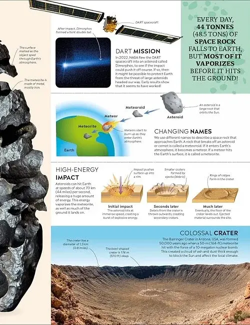Eyewitness Encyclopedia of Everything - фото 5
