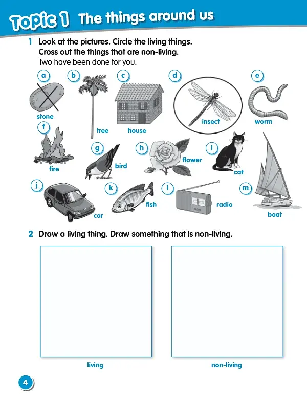 Macmillan Science. Level 1. Workbook - фото 3