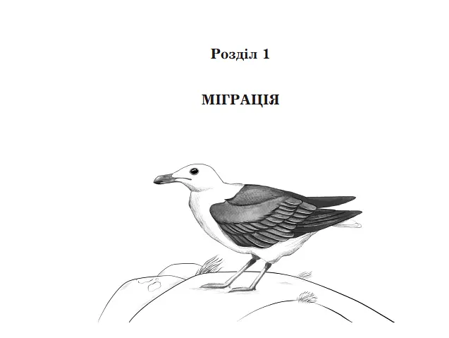 Комплект книг Моя сім’я та інші звірі. Птахи, звірі та родичі. Сад богів (3 кн.) - Д. Джеральд (Богдан) - фото 7