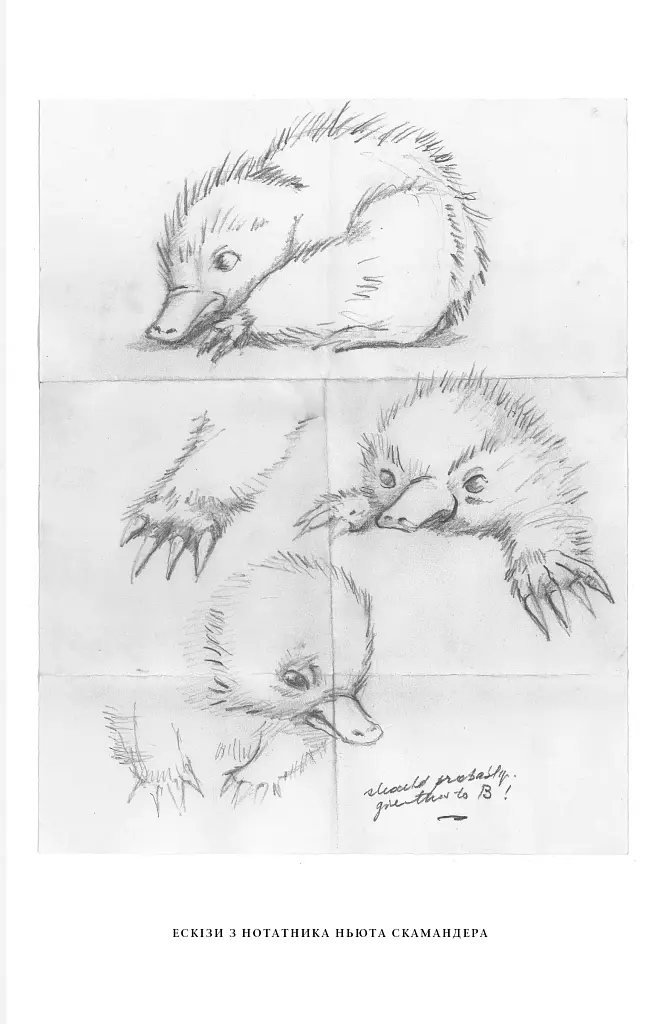 Фантастичні звірі: Таємниці Дамблдора. Оригінальний сценарій - фото 5