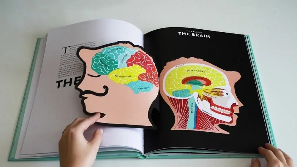Anatomy. A Cutaway Look Inside the Human Body - фото 3