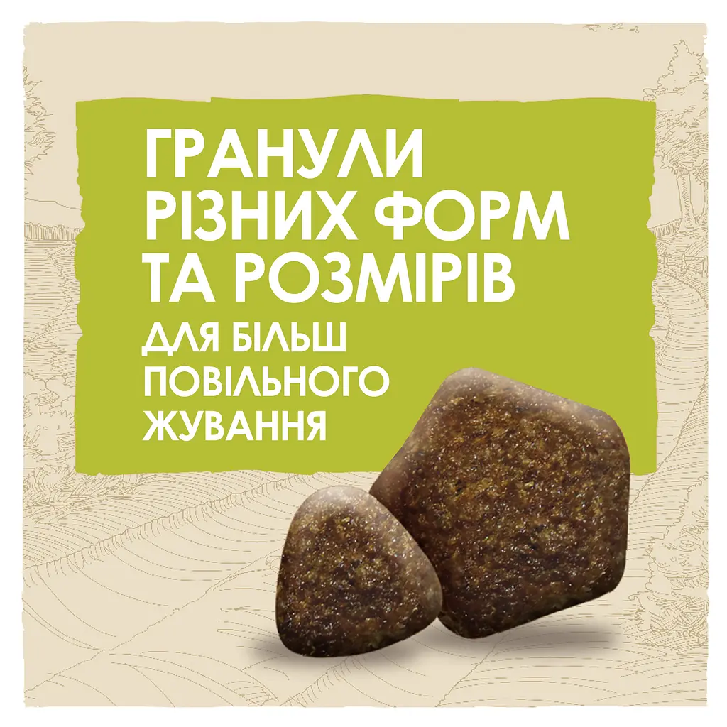 Сухой корм для собак Dog Chow Adult 1+, с ягненком, 14 кг - фото 5