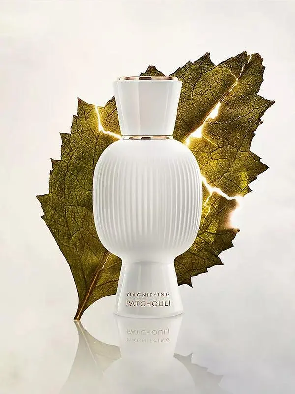 Bvlgari Allegra Magnifying Patchouli парфумована вода 40 ml - фото 4