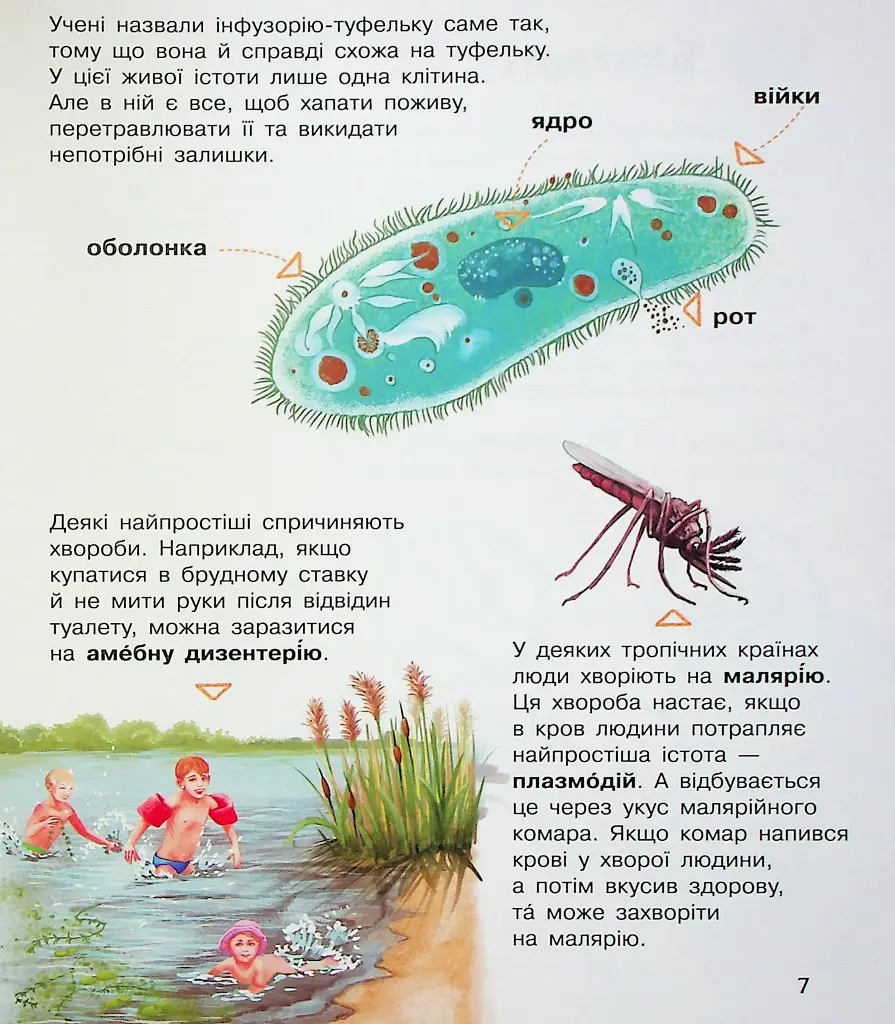 Енциклопедія дошкільника. Мікроби - фото 10
