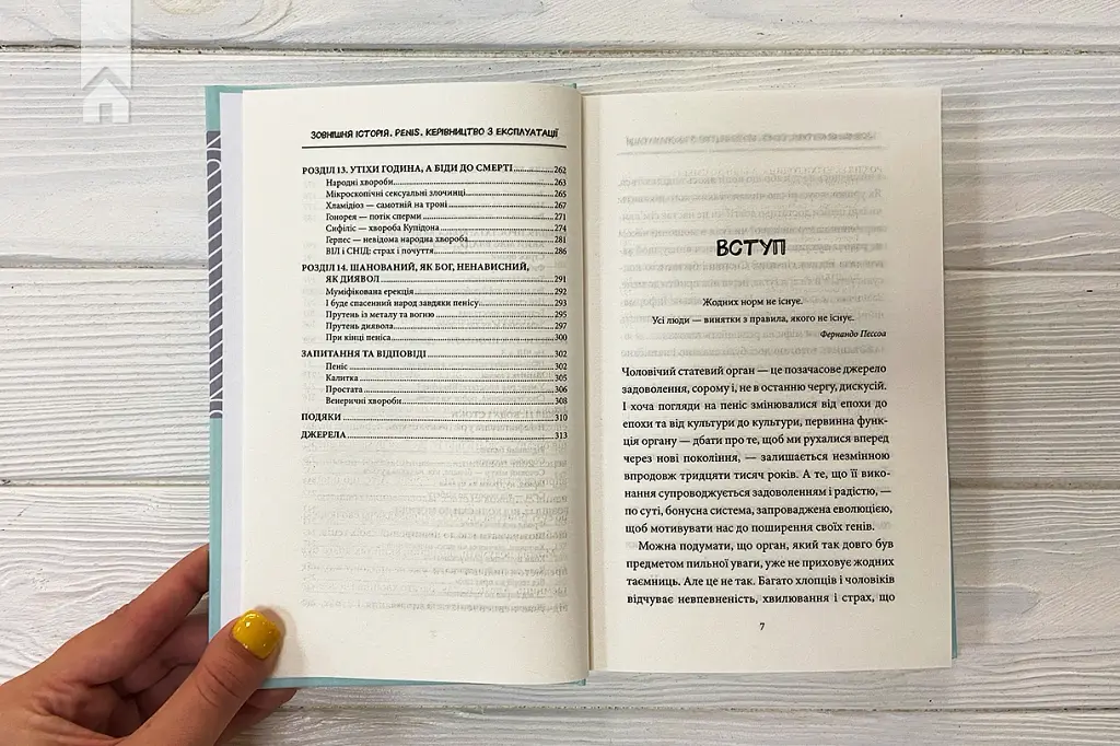 Зовнішня історія. Penis. Керівництво з експлуатації - Стурла Пілскоґ - фото 5