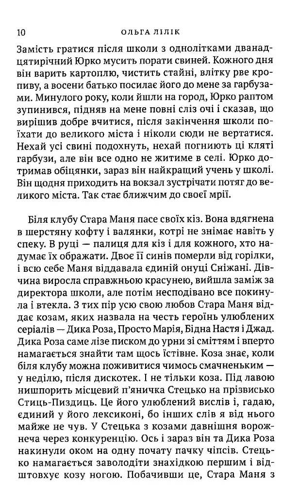 Квіти цикорію - фото 8