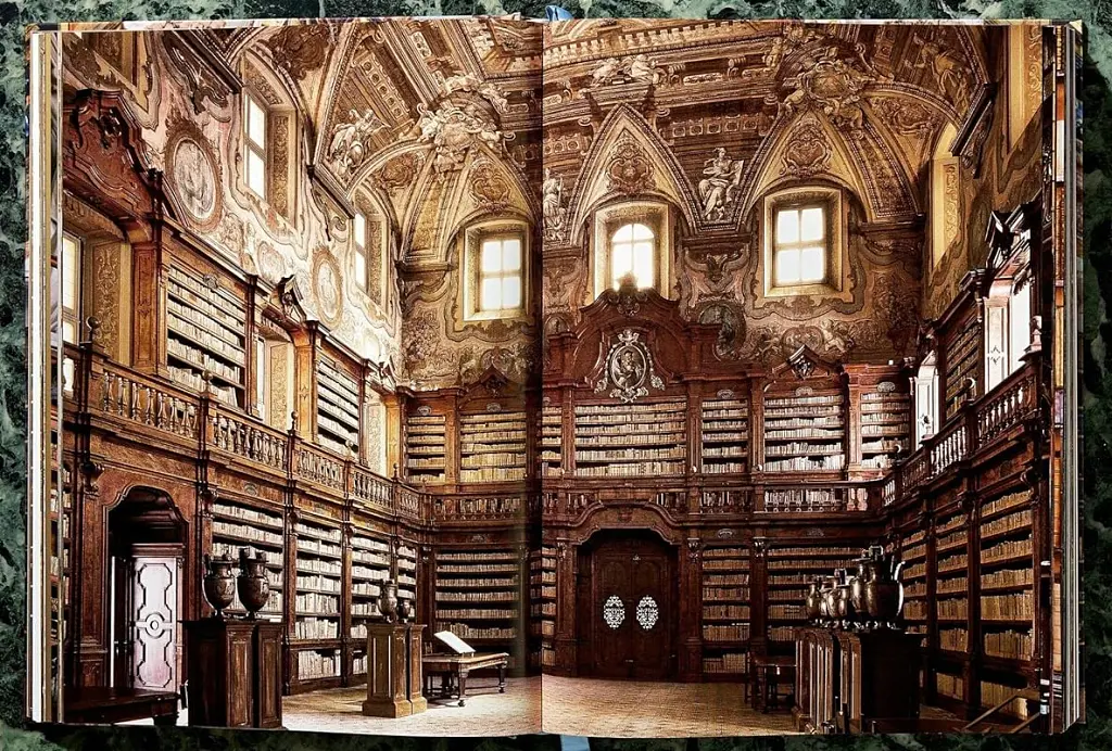 The World’s Most Beautiful Libraries - Елізабет Сладек - фото 2