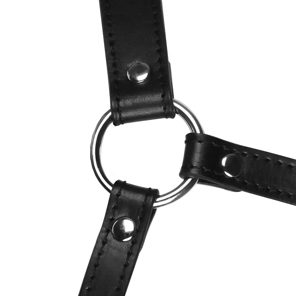 Маска-кляп Head Harness with Mouth Cover and Solid Ball Gag - Black Ouch! 36-OU895BLK 100291 - фото 6