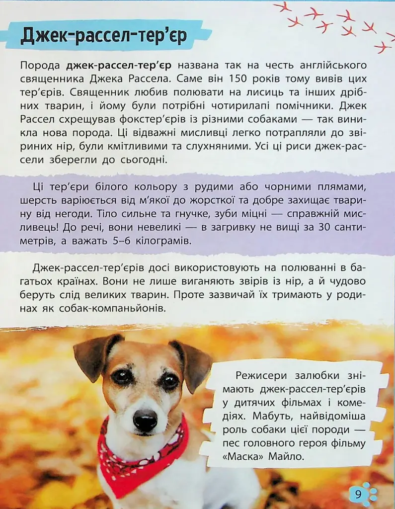 Мініенциклопедія. Хатні улюбленці - фото 9