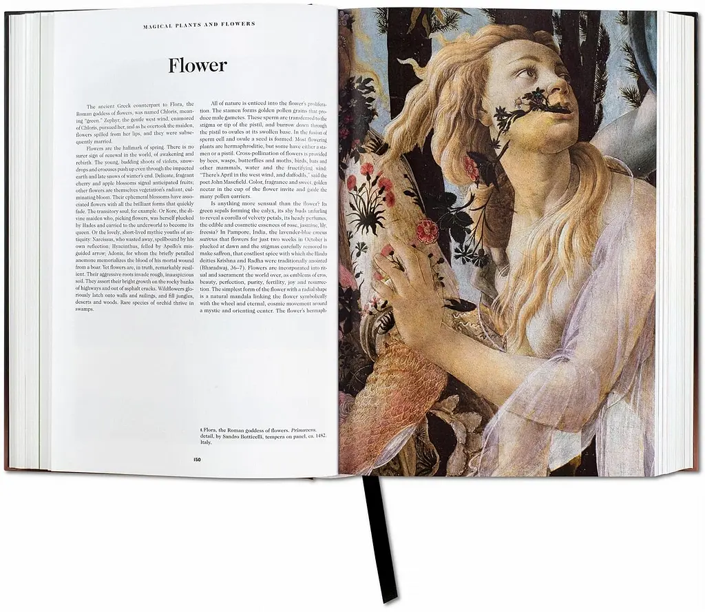 The Book of Symbols. Reflections on Archetypal Images - фото 5