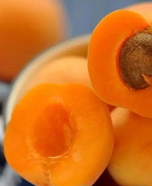 Саджанець Agro-Market Абрикос Шедевр (літній сорт, середній термін дозрівання) (39861) 1 шт. в упаковці - фото 4