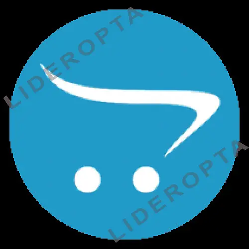 Автомагнітола XPRO штатна Toyota Camry V50 2012-2014 10 Android 10.1 4/32 КОРОБКА 2 (MER-14129_6215) - фото 5