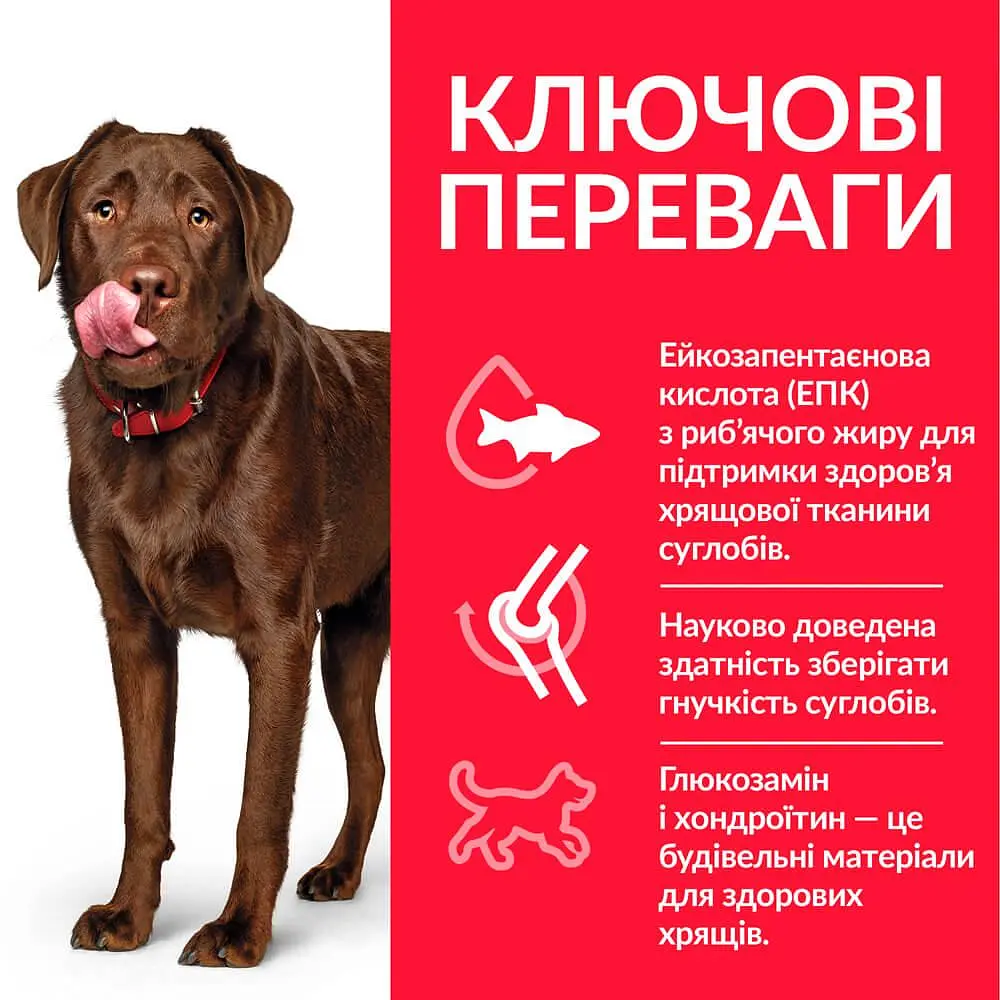 Сухий корм Hill’s SP Adult Healthy Mobility Large Breed для собак великих порід з куркою 14 кг - фото 2