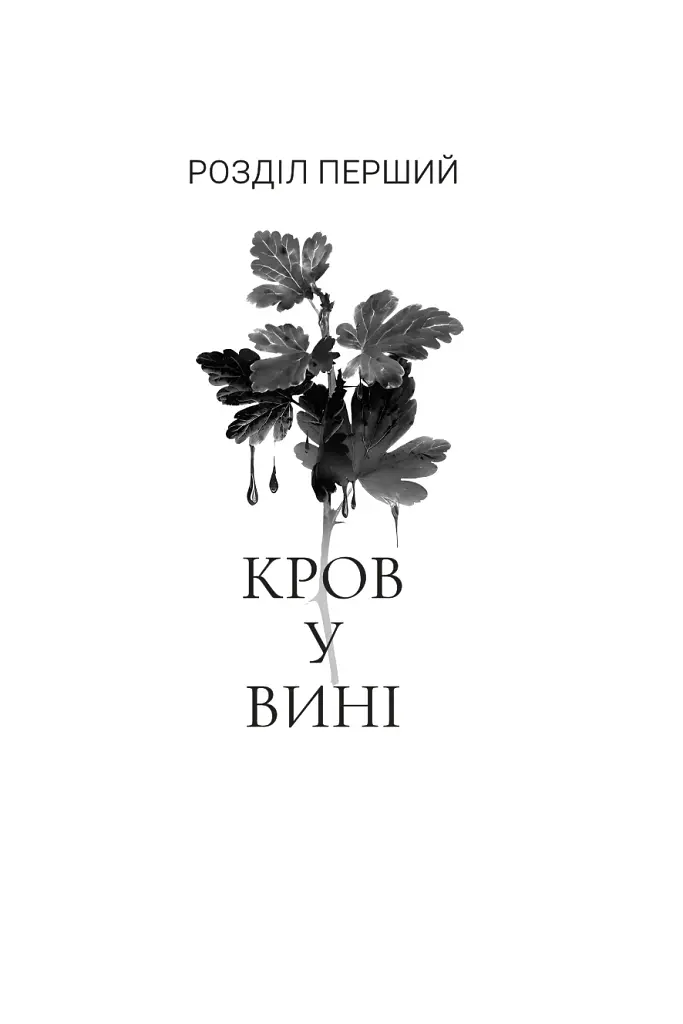 Коли впаде король - фото 2