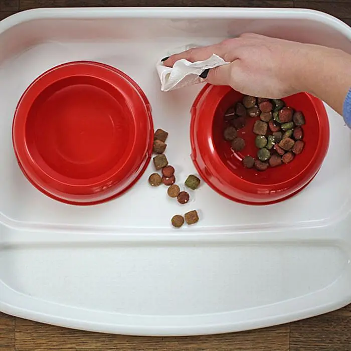 Пластиковий піднос з мисками для котів і собак Ferplast LINDO (FR71910021) - фото 9