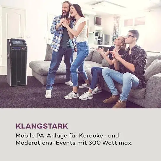 Мобильная акустическая система Auna Pro DisGo Box 2100 DVD (10035201) - фото 2