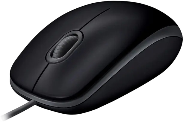 Миша Logitech B110 Silent Black (910-005508)