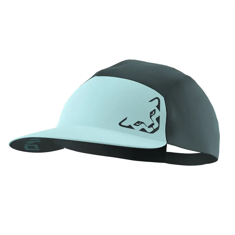 Кепка Dynafit Alpine Visor Cap