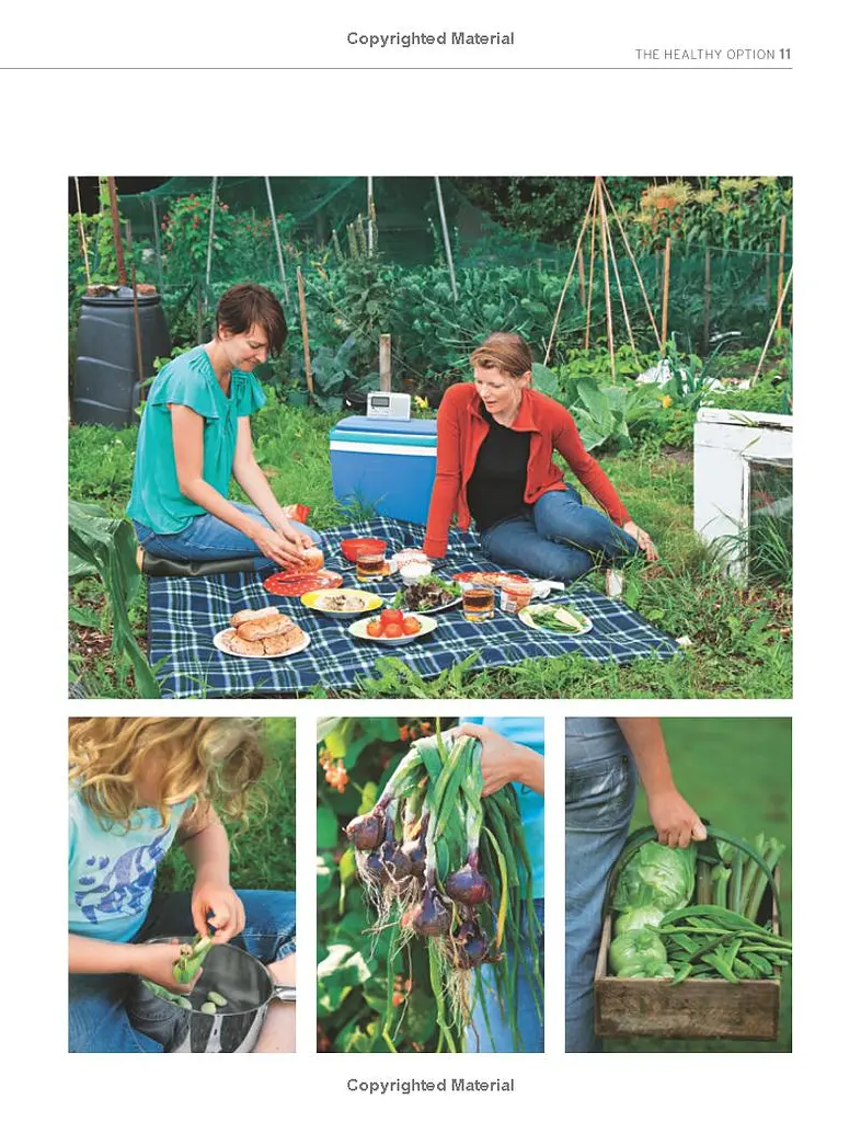 The Royal Horticultural Society Allotment Handbook. The Expert Guide for Every Fruit and Veg Grower - фото 7