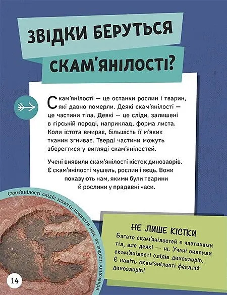 Енциклопедія юних розумників - Ненсі Дікманн - фото 3