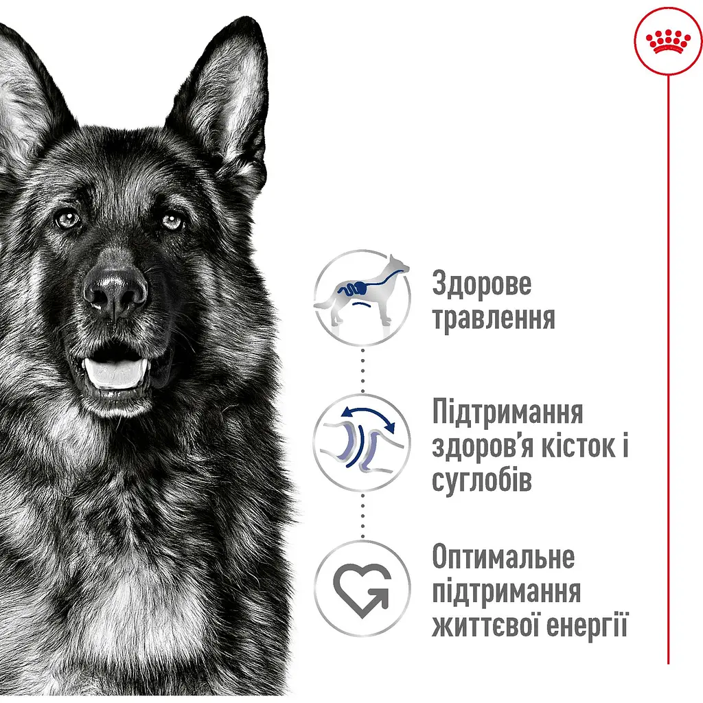 Сухий корм Royal Canin Maxi Adult для дорослих собак великих порід з м'ясом птиці та кукурудзою 15 кг - фото 3
