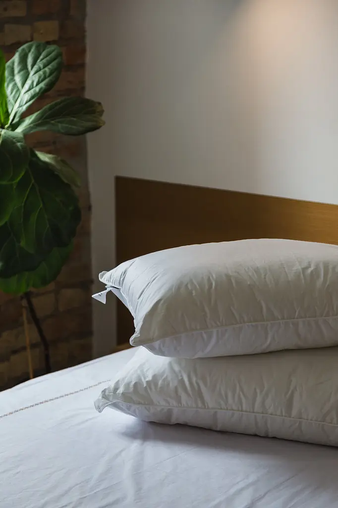 Подушка Ecotton 50х70 см Ecofill Premium антиалергенна з біопухом біла в чохлі для зберігання White (25069) - фото 8