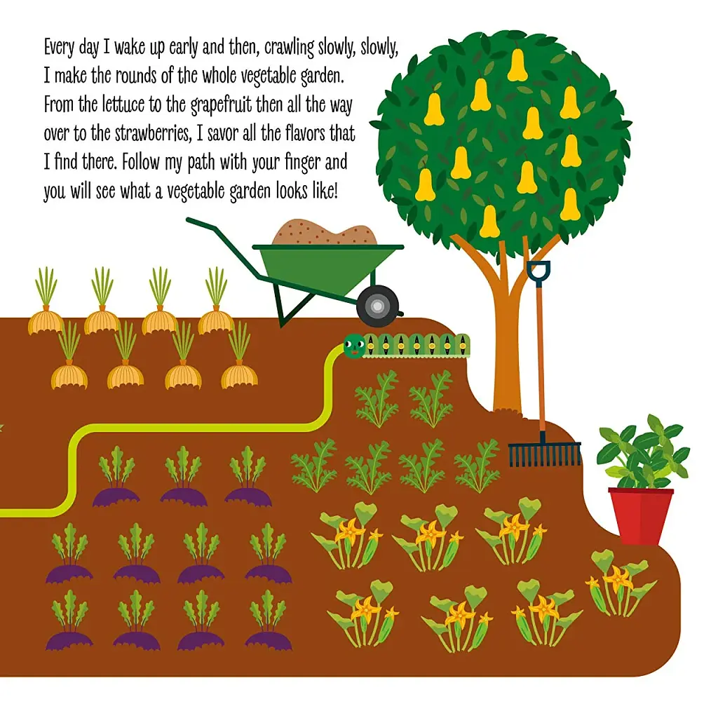 My First Book of the Vegetable Garden. Montessori: A World of Achievements - фото 4