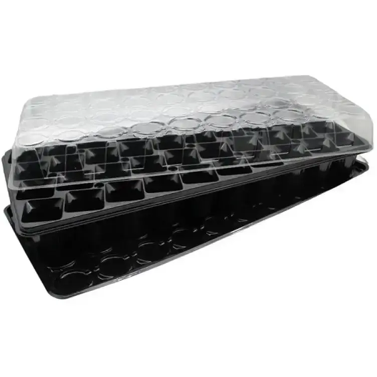 Парник Elsa на 40 комірок (kas-parn-40) - фото 2