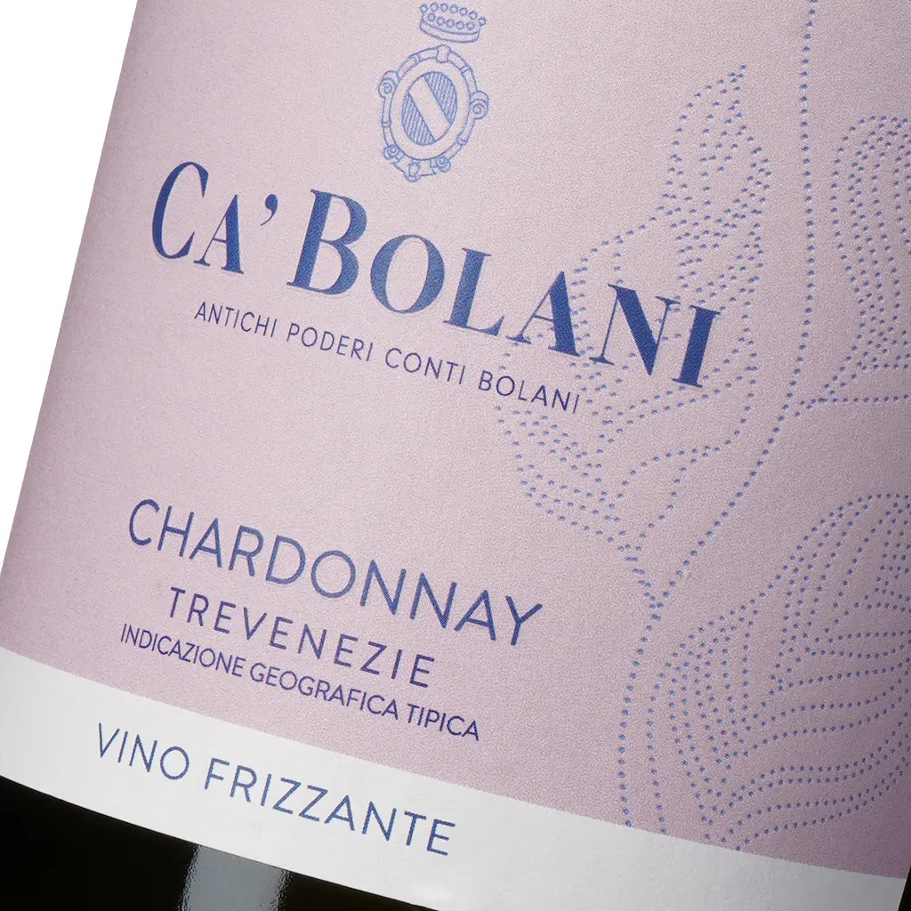 Вино ігристе Tenuta Ca'Bolani Chardonnay Frizzante біле сухе 10.5% 0.75 л - фото 5