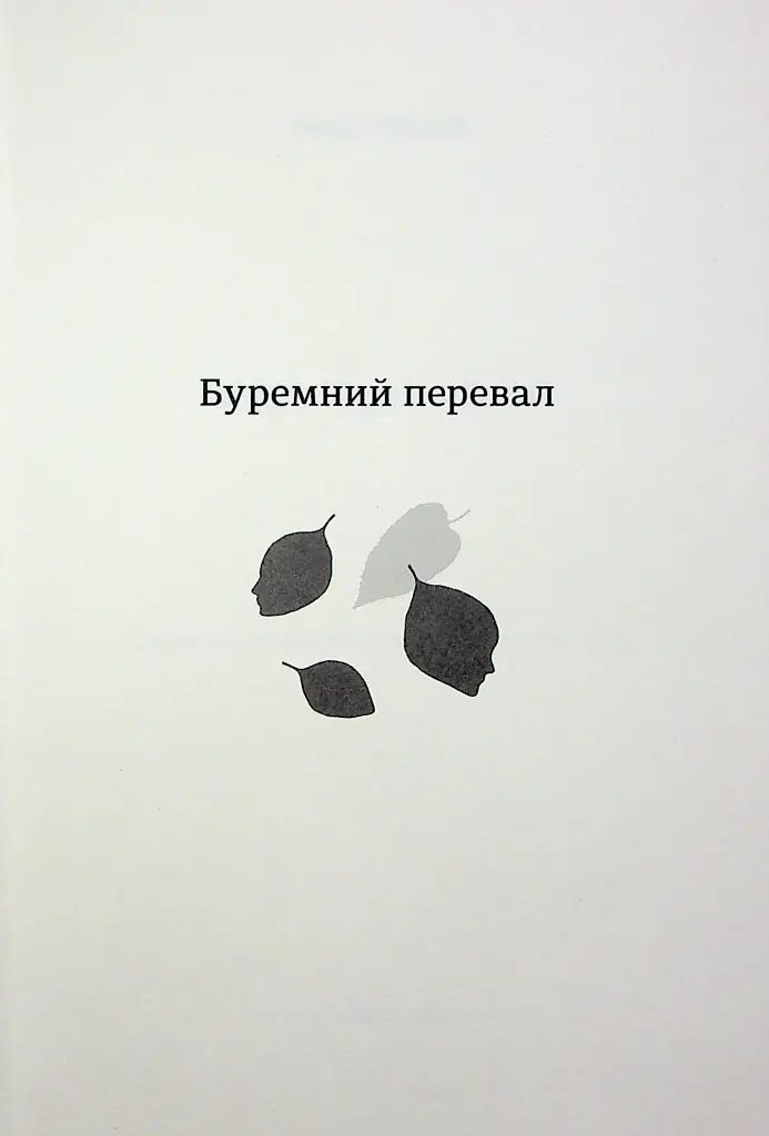 Буремний перевал - фото 2